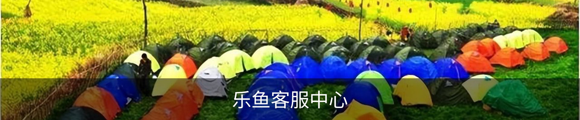 乐鱼客服中心